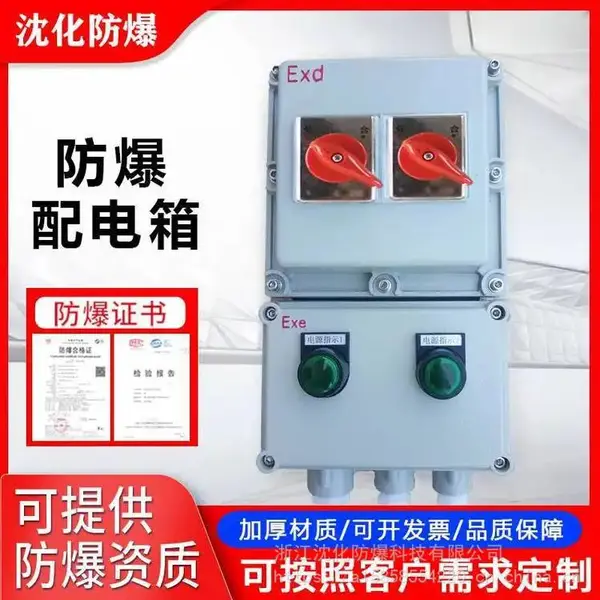污水厂不锈钢防爆照明控制箱 ExdIIBT4配电箱 双电源开关控制柜