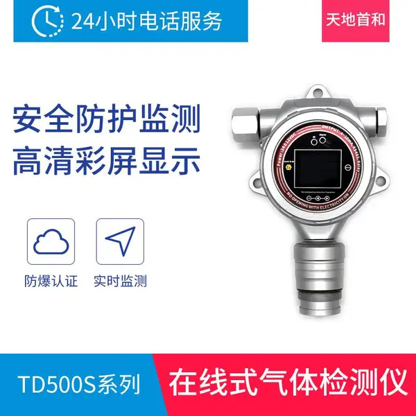 在线式臭气检测仪TD500S-Odor气体报警器 天地首和