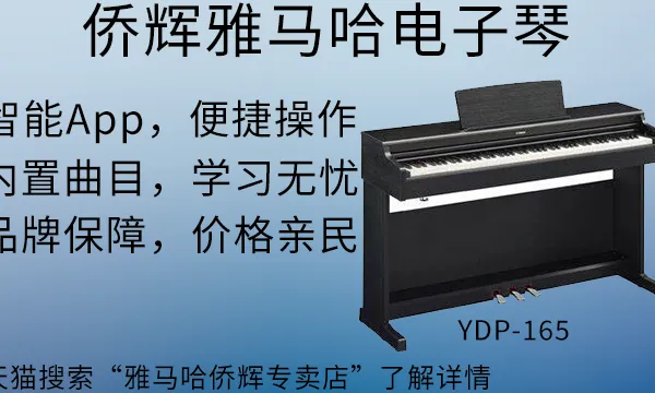 徐汇区YAMAHA家庭电子琴供货商 上海侨辉经贸供应