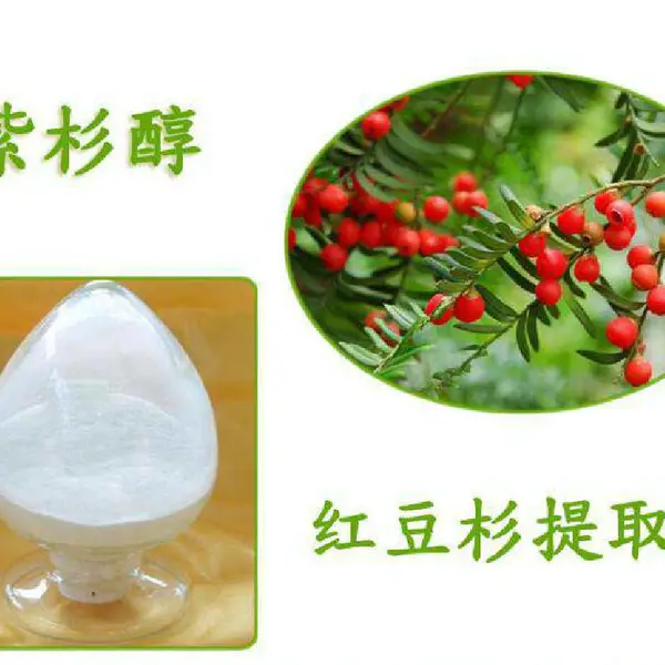 红豆杉提取物 紫杉醇*** 红豆杉液 红豆杉多肽 沃特莱斯 1公斤起订