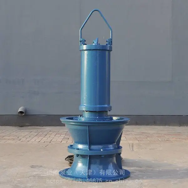 �������Ź�վ���Ա�-QZBǱˮ������