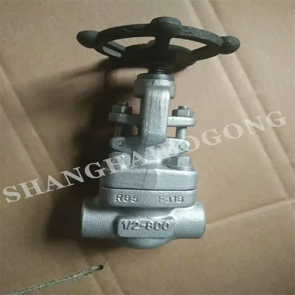 �Ժ�����ˢ���ܷ�͸ָ��¸�ѹ���ӽ�ֹ�� J61Y-16RL F316L��ֹ��