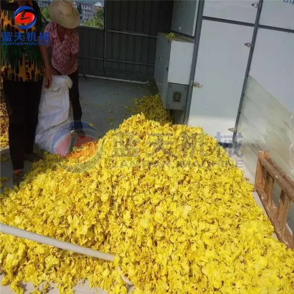 辣椒烘干机 灯笼椒烘干机 220伏小型辣椒烘干机 全自动辣椒烘干机视频