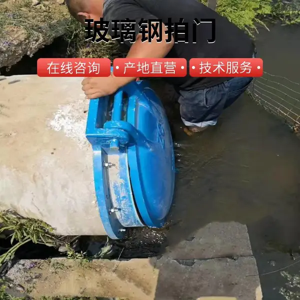 ��ˮ�ܵ���ˮ��ֹ�ط�ˮ�ອ�ܷ�����ˮ������ֹ�淧 ���100-2500mm