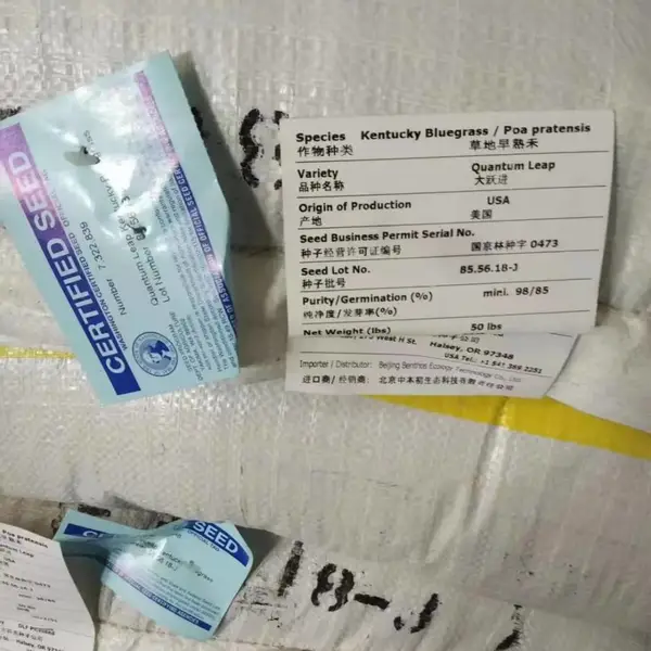 �������ݱ��س����������� ��������� ����������