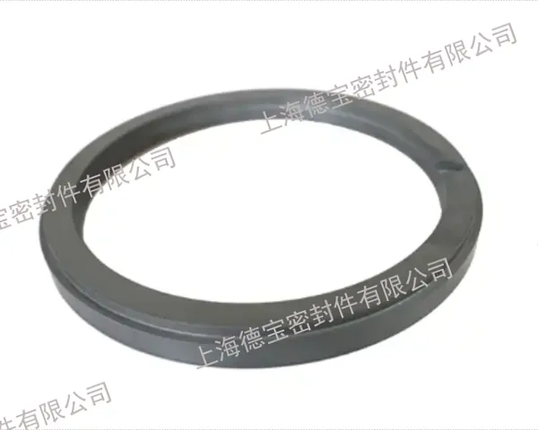 上海无压密封环哪个好 欢迎来电 上海德宝密封件供应