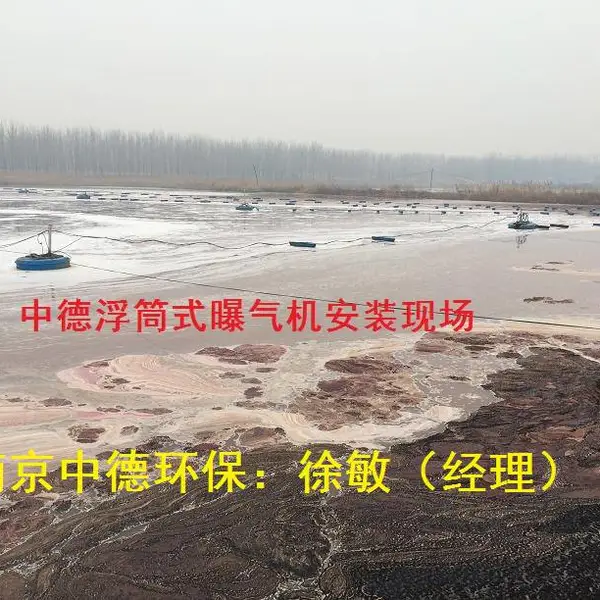 南京中德环保厂家直销浮水式喷泉曝气机,人工及自然水体景观湖喷泉曝气机现场效果
