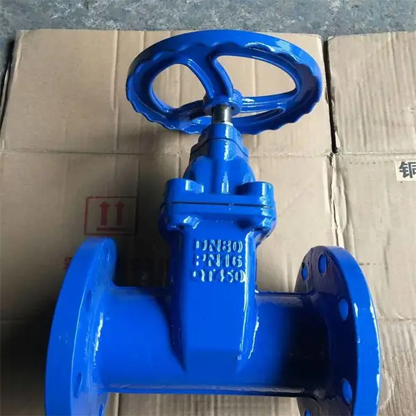 污水管道专业手动闸阀 Z45X-16Q DN450-Z45X-16Q 自贡市阀门销售