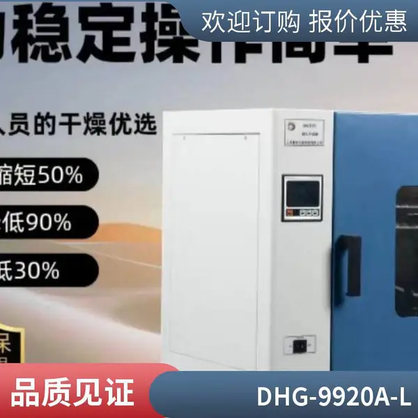 台式鼓风干燥箱厂家直销 DHG-9920A-L 科研院校恒温干燥设备
