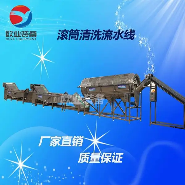 水果清洗风干线 草莓清洗设备 生产设备配工艺 中草药清洗机器