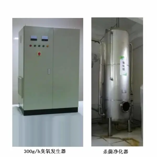 300g/h臭氧发生器和杀菌净化器 型号:RQ-300库号：M414508