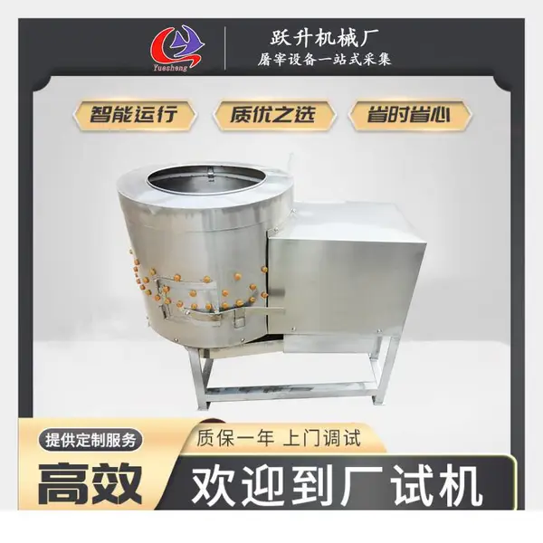 ������ë�� ����ȥë�� С�ͼ��������豸 Ծ����е