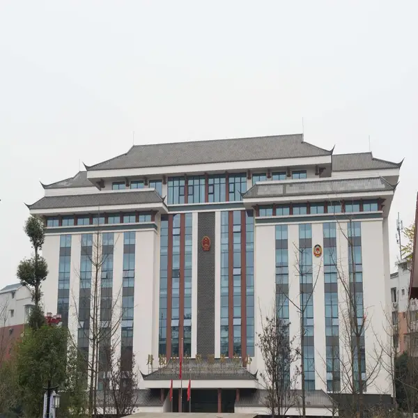 新闻 眉山丹棱县政府大楼 高分子仿古瓦 屋面用瓦咨询 单张面积大 安全性强