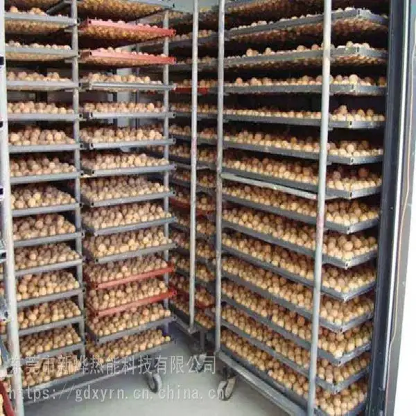 核桃烘干机 核桃烘房定制 新烨热能烘干炉烤房制造
