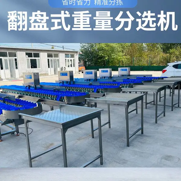 小黄瓜鱼料盒式重量分选机 304材质380V工业级分选设备