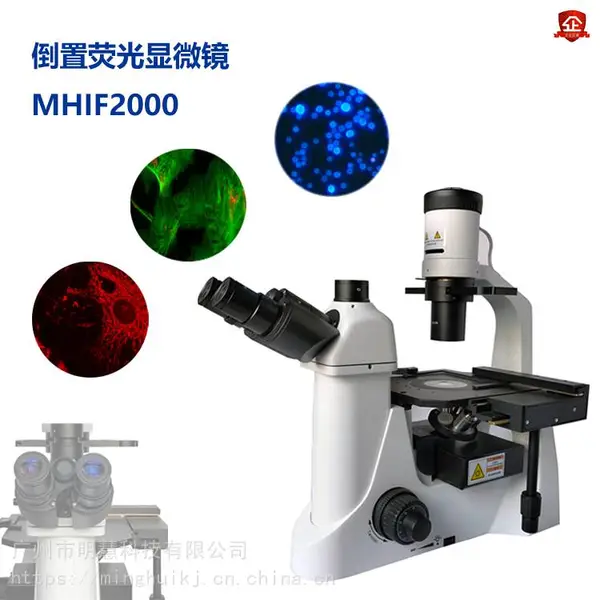 明慧倒置荧光显微镜 MHIF2000 LED激发光源相差观察三色荧光模块相机