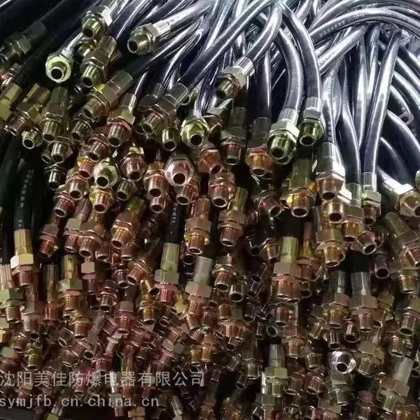 通辽 防腐挠性过线管 BNG-20*1000MM 定制防爆金属软管