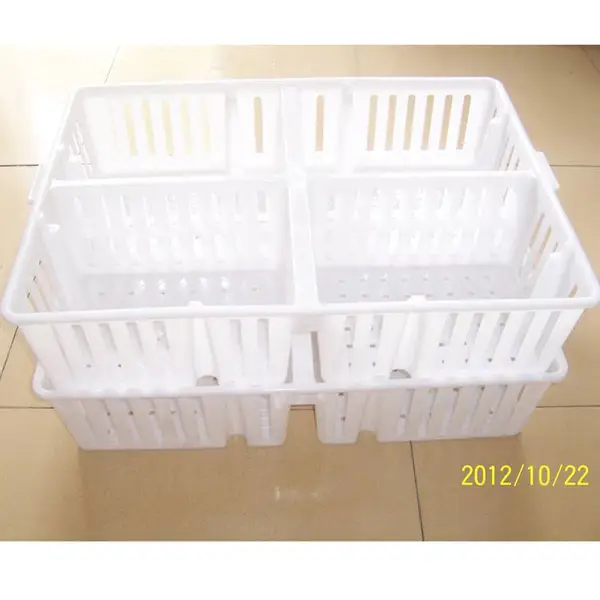 带隔断的鸡苗运输箱 塑料鸡苗箱厂家批发