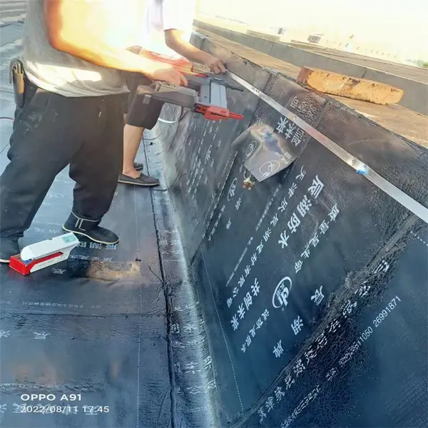 ����������ˮ��© �����ˮʩ�� ��ˮά�� ע����©������0.1mm΢�ѷ��޸���