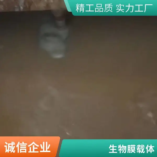 菌方 好氧反硝化脱氮菌块 河道黑臭水体治理 微生物菌砖厂家