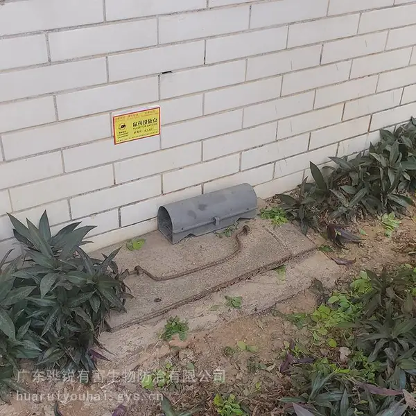 江西除四害 江西别墅白蚁灭治公司 解决复杂虫害问题