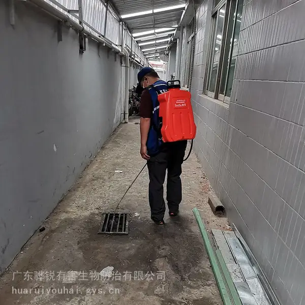 四川除虫灭鼠 四川家庭除螨公司 采用安全无害的除虫方法
