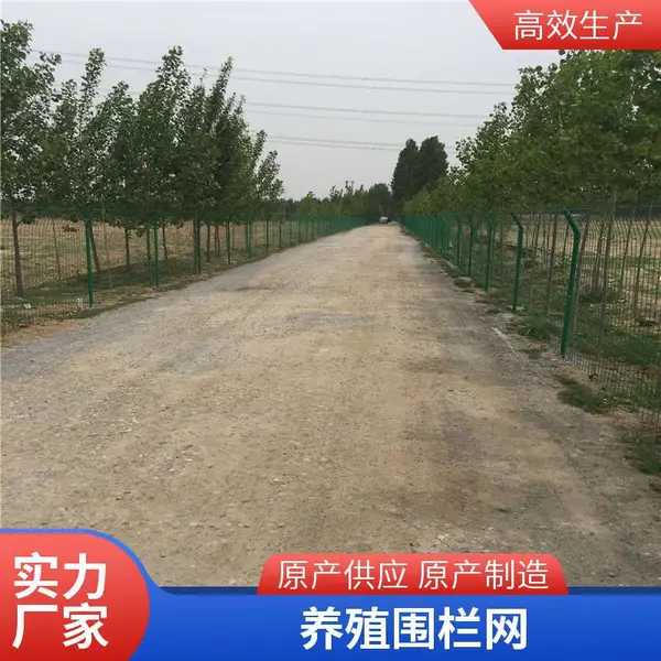 河北 建筑防护网 密目安全网 绿色防尘网 2m*4m 批发