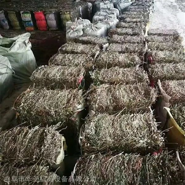 藿香全棵秸秆压块机 便于运输中草药打包机 华圣