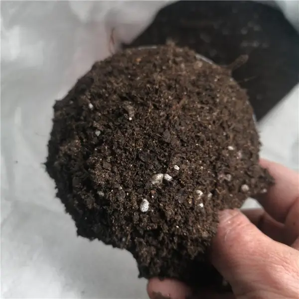 四季花卉 园艺绿植 草坪种植用腐质草炭营养土