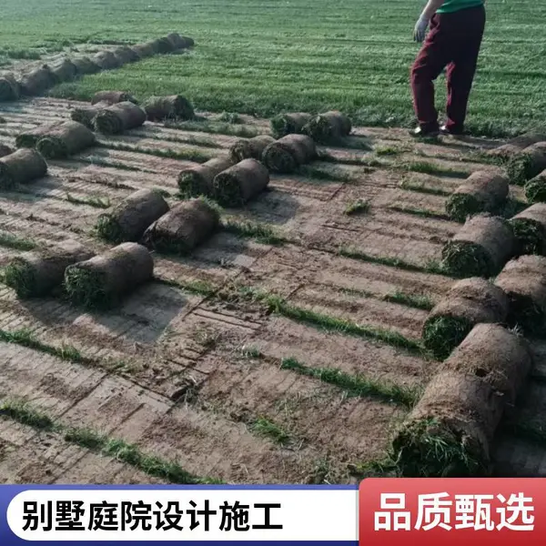 庭院草坪铺装小区草坪施工户外家庭庭院设计家庭花园设计室外昌平