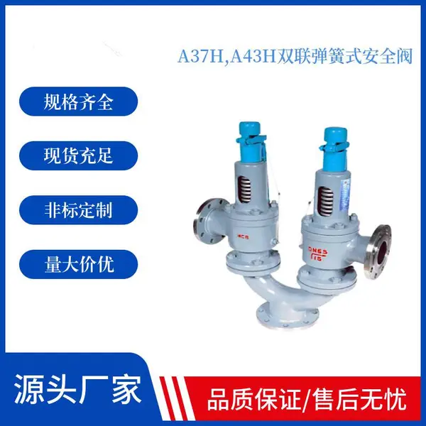 双联安全阀 A43H-40C 弹簧式安全阀耐磨损 南高阀门厂