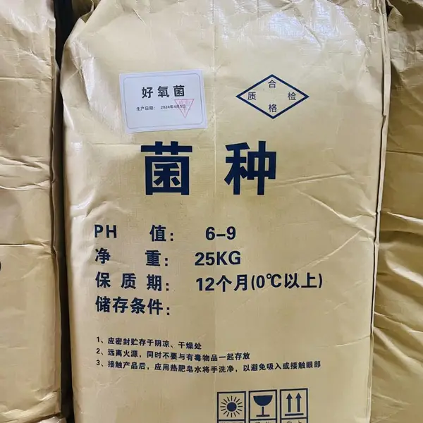 污水处理活性菌种*** 可替换厌氧颗粒污泥提供现场问题