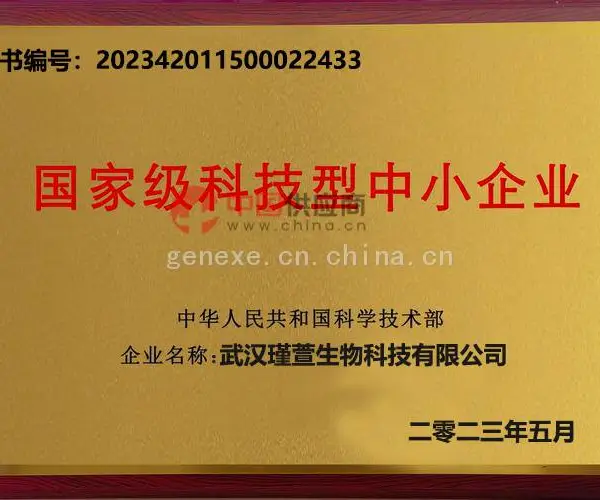 国家级科技型中小企业