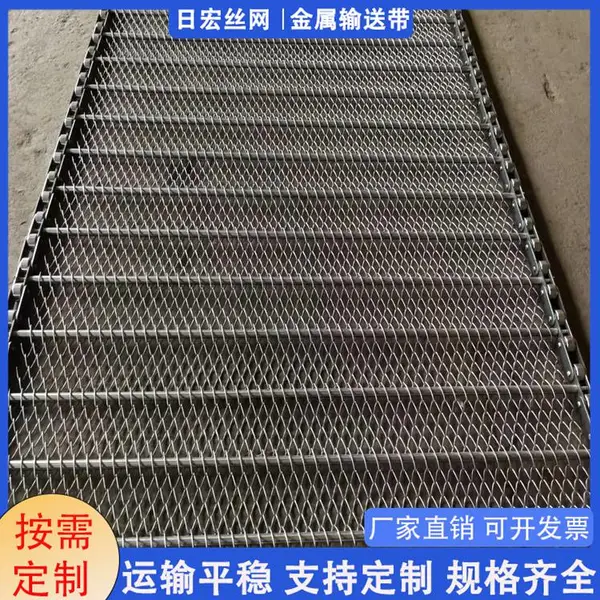 果蔬清洗机网带 优质不锈钢螺旋网链 机械专用人字形输送带