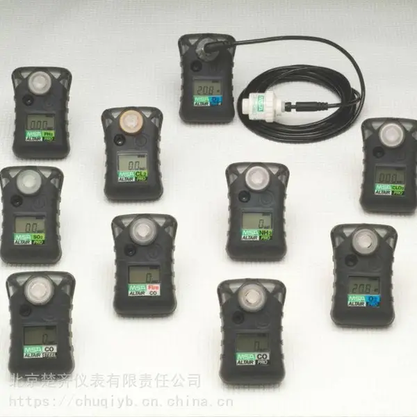 Altair Pro��ӥ��һ��������