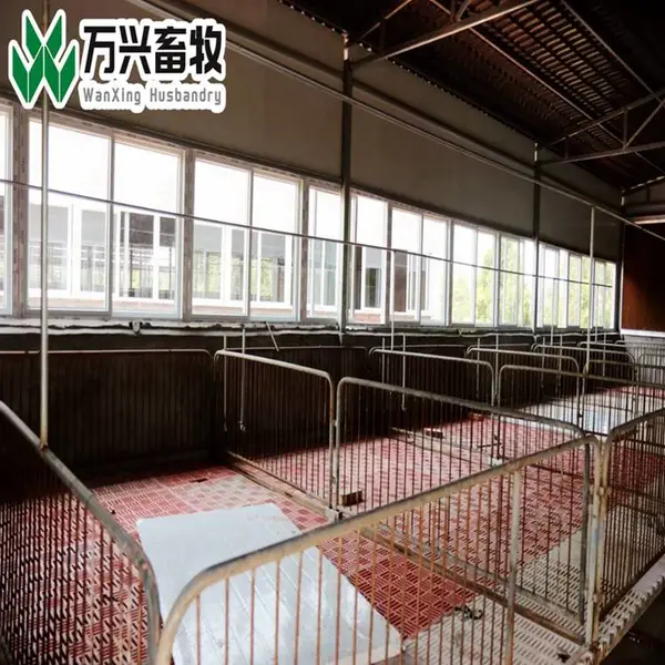 复合漏粪板 预仔猪地板 加厚塑料猪屎板