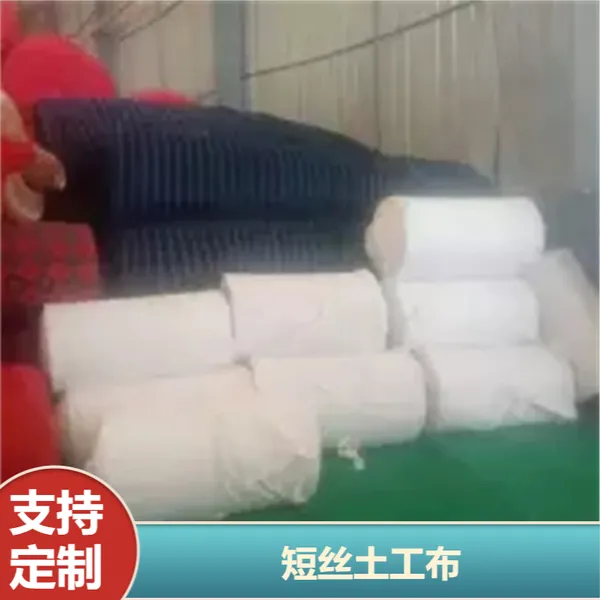 营养抗冲刷500g聚酯长丝防水土工布抗冲刷护坡营养植草