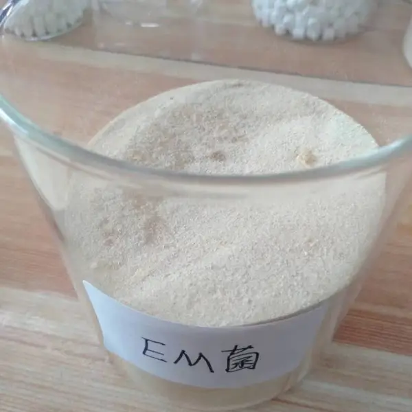 山东济宁供应微生物菌剂EM菌粉水产农业专用