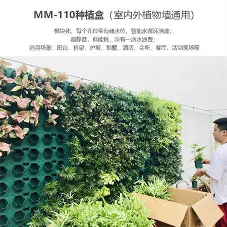 大连植物墙容器规格 容器绿化