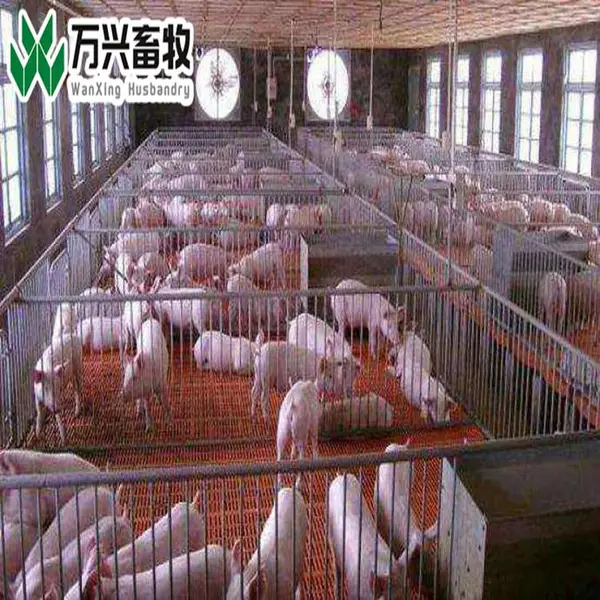 仔猪漏粪板 猪产床地板 母猪产床保育板