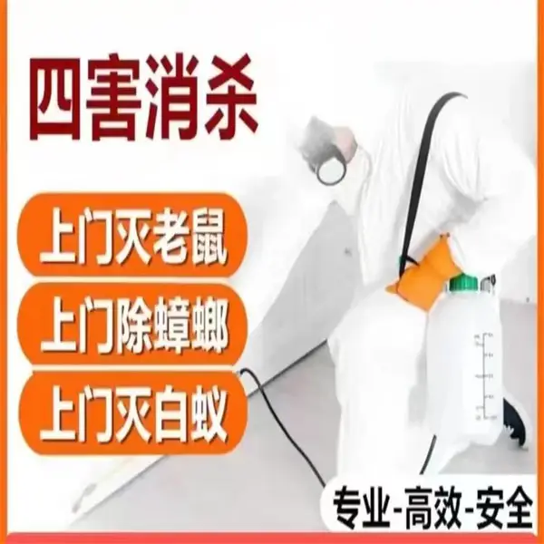 上海商场超市灭鼠 工厂仓库治理老鼠 家庭防老鼠 家庭驱赶老鼠