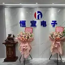 深圳市恒宜电子有限公司