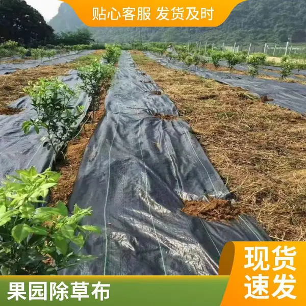 切片打孔除草布 加厚PE防草布 果园果树专用抑草地布 抗老化透水透气可定制