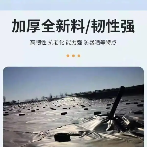 人工湖防渗HDPE两布一膜土工布使用50年不漏水