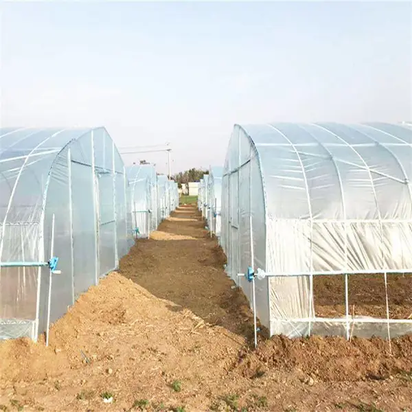 石家庄赵县 草莓采摘园 黄瓜苗种 中科 镀锌钢管骨架 观光展览 ZKZX-04