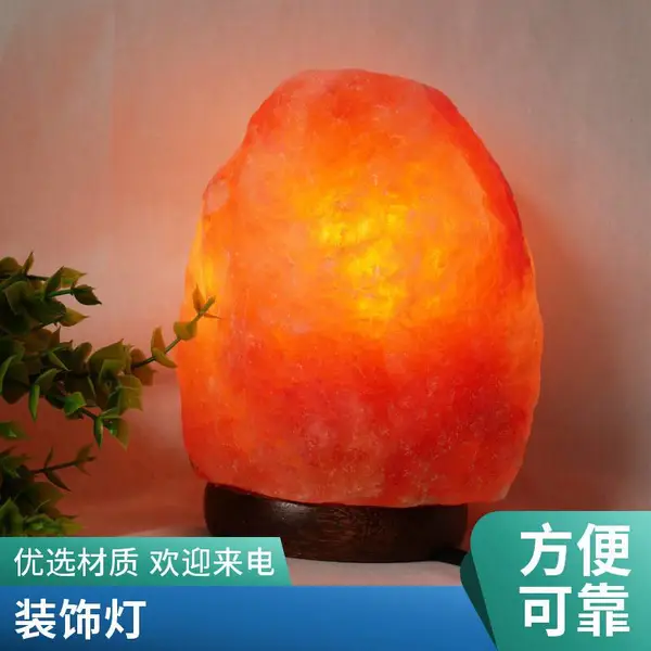 户外灯带 LED装饰软灯条线形灯12V低压灯220V灯条批发单双排
