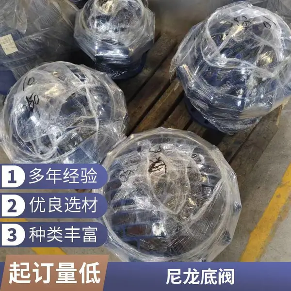 抽水泵底阀 升降式底阀 铸铁镀锌 6寸8寸10寸 灌溉泵站配件
