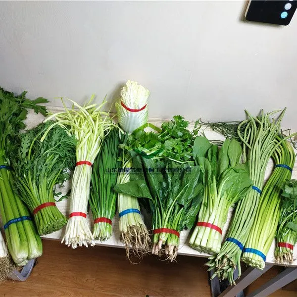 小型多功能opp束带机 蔬菜粉条扎把机 电动捆扎机厂家批发