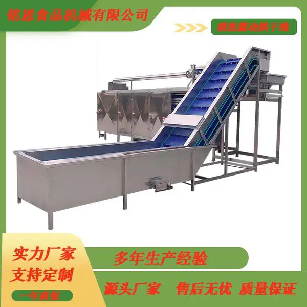 黄桃气泡清洗机 刺梨去杂清洗设备 蔬果冲浪清洗流水线定制厂家
