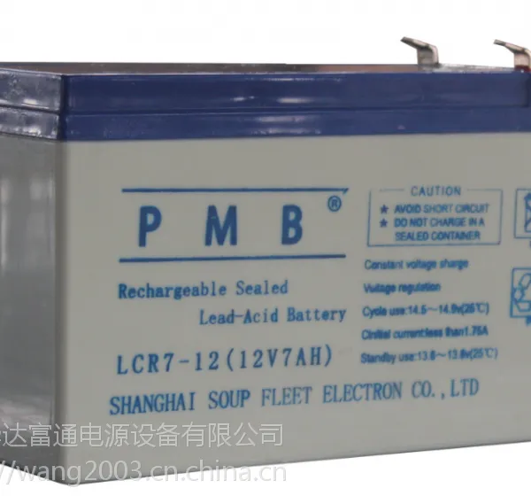 PMB蓄电池LCPA40-12（国产）精致产品/直销供应